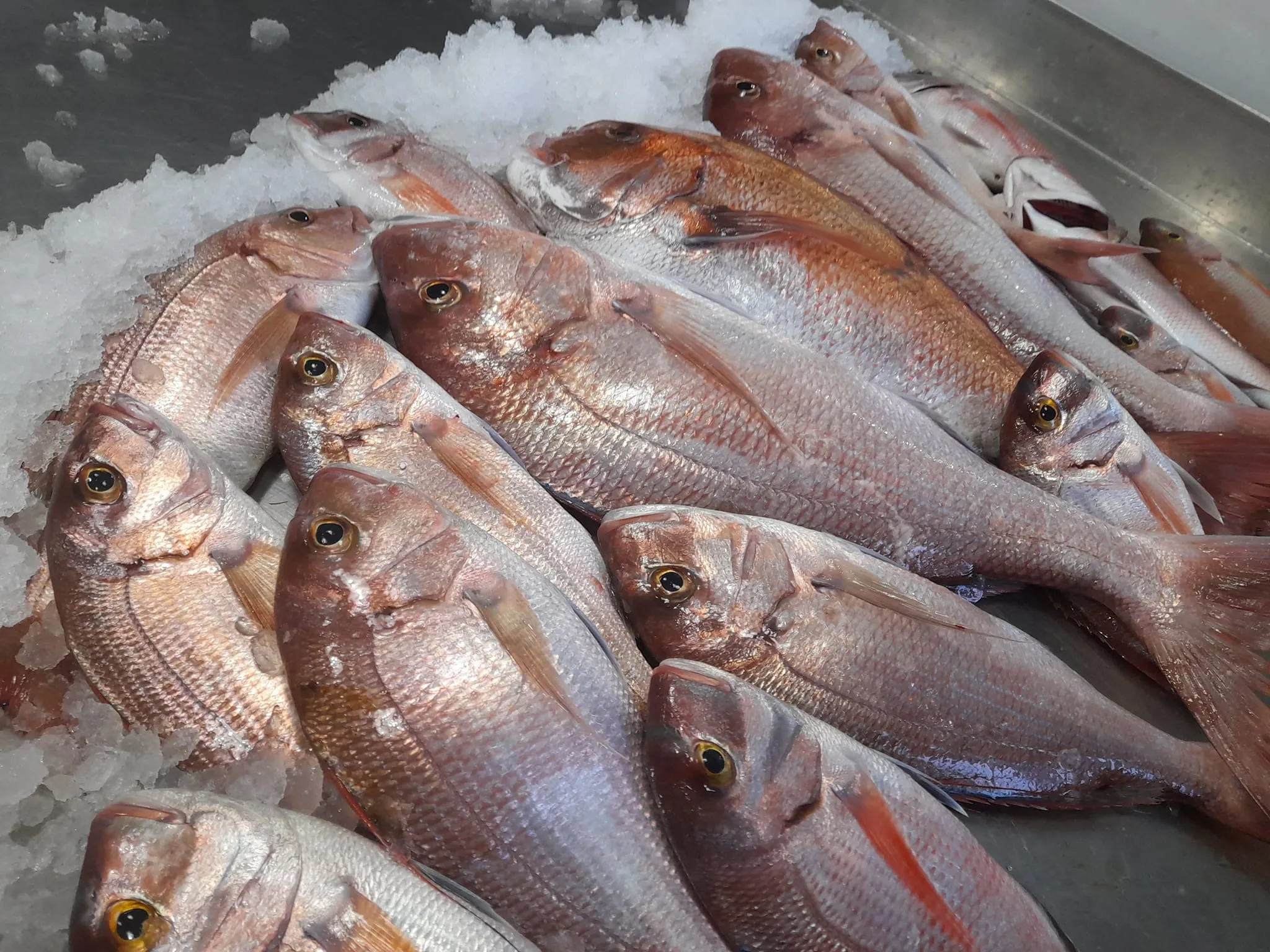 Traditional Greek seafood preparation at Skiathos Fish Market for Clean Monday and Holy Week